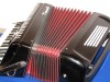 Parrot 60 bass black accordion